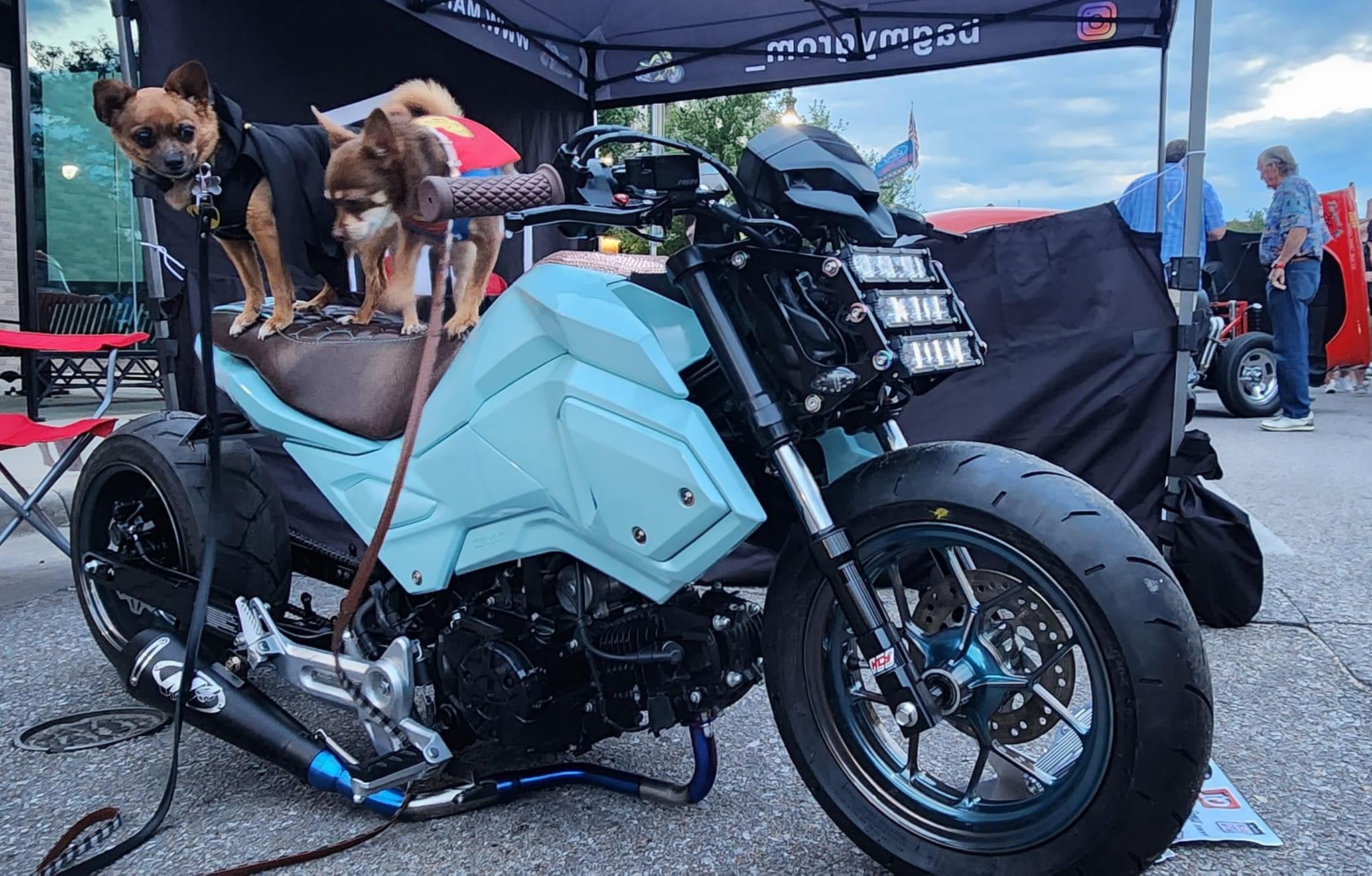 Mangum Elite Air Ride Suspensions for Motorcycles Elevating Comfort a